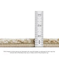 Dalyn Carmona CO1 Fudge 3'1" x 5' Rug
