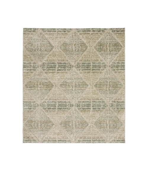 Dalyn Carmona CO8 Mist 8' x 10' Rug