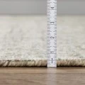Dalyn Calisa CS5 Fog Area Rug 2 ft. 3 X 7 ft. 6 Rectangle