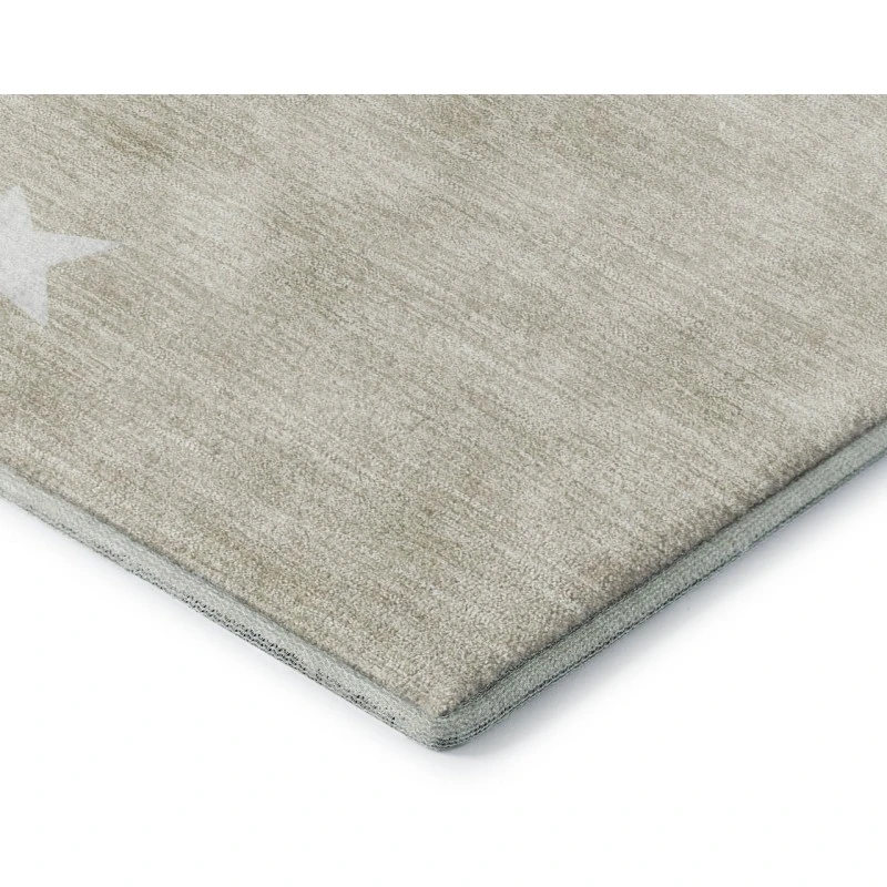 Dalyn Merry & Bright Brown MY27 1ft.8in. x 2ft.6in. Rug