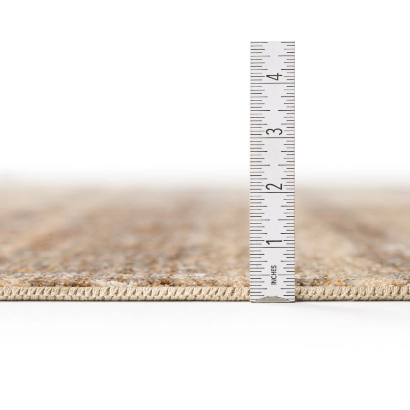 Dalyn Neola NA6 Mocha 3' x 5' Rug