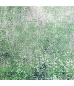 Dalyn Nebula NB5 Kiwi Area Rug 9 ft. X 13 ft. Rectangle