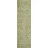 Dalyn Solace Green SL9 2ft.3in. x 7ft.6in. Rug
