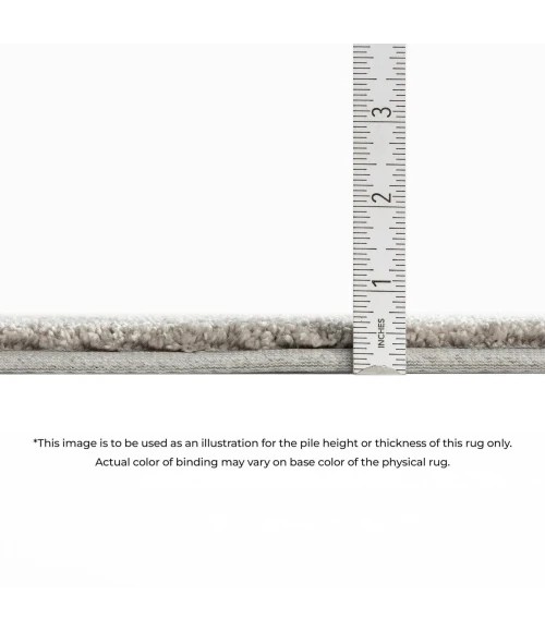 Dalyn Silk Road Black SR5 10ft. x 14ft. Rug