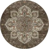 Dalyn Silk Road Brown SR6 8ft. x 8ft. Rug