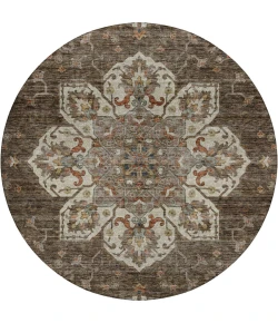Dalyn Silk Road Brown SR6 8ft. x 8ft. Rug
