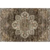 Dalyn Silk Road Brown SR6 1ft.8in. x 2ft.6in. Rug