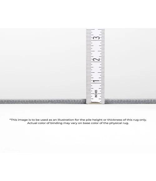 Dalyn Indoor/Outdoor Seabreeze SZ8 Cactus Washable 2'6" x 3'10" Rug