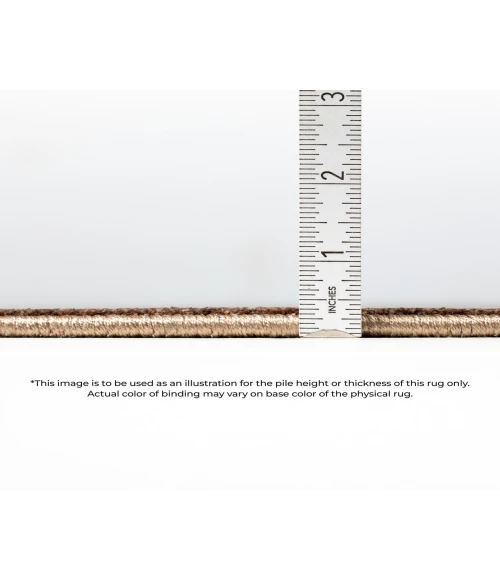 Dalyn Vizcia VZ3 Beige 5'1" x 7'8" Rug