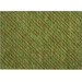 Dalyn Wonderland Green WN27 1ft.8in. x 2ft.6in. Rug