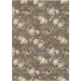 Dalyn Wonderland Brown WN36 5ft. x 7ft.6in. Rug