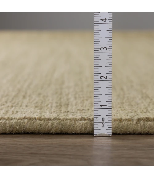 Dalyn Monaco MC100 Aloe Area Rug 8 ft. X 10 ft. Rectangle