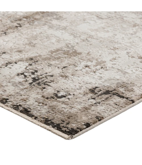 Dalyn Denizi DZ2 Putty Area Rug 5 ft. 3 in. X 7 ft. 8 in. Rectangle