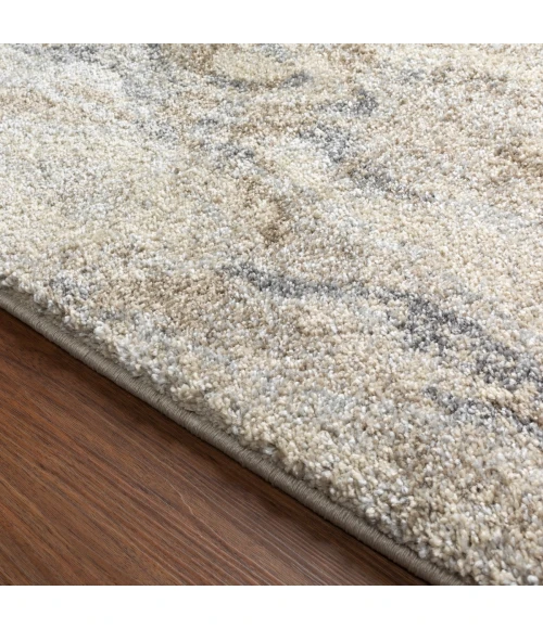 Dalyn Aero AE2 Silver Area Rug 3 ft. 3 in. X 5 ft. 3 in. Rectangle