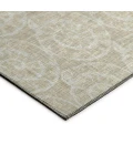 Dalyn Seabreeze SZ11 Taupe Area Rug 5 ft. X 7 ft. 6 in. Rectangle