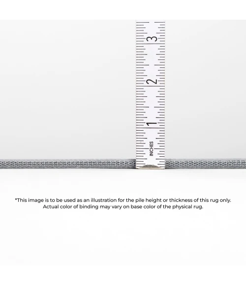 Dalyn Sedona SN8 Poolside Area Rug 2 ft. 3 in. X 7 ft. 6 in. Runner