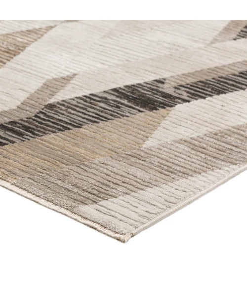 Dalyn Denizi DZ5 Putty Area Rug 5 ft. 3 in. X 7 ft. 8 in. Rectangle