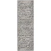 Dalyn Jericho JC4 Silver Area Rug 2 ft. 6 in. X 10 ft. Runner
