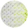 Dalyn Seabreeze SZ5 Lime-In Area Rug 8 ft. X 8 ft. Round