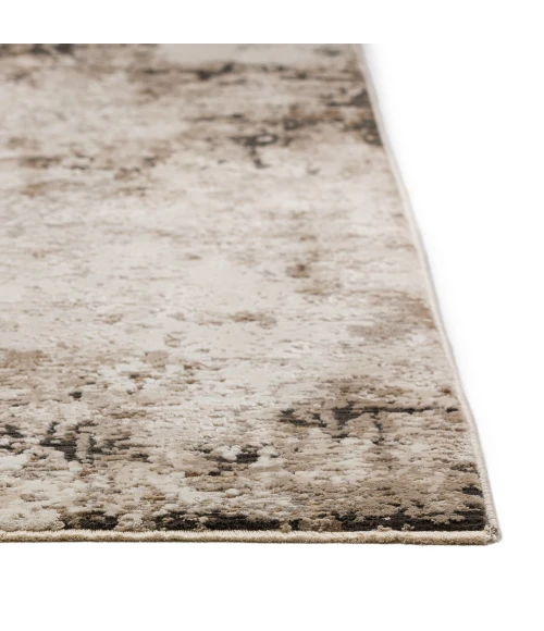 Dalyn Denizi DZ2 Putty Area Rug 5 ft. 3 in. X 7 ft. 8 in. Rectangle