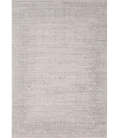 Dynamic Rugs AIMON Light Grey/Grey 16656 2ft. 7in. x 4ft. 11in. Rect. Rug