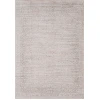 Dynamic Rugs AIMON Light Grey/Beige 16656 2ft. 7in. x 4ft. 11in. Rect. Rug
