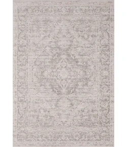 Dynamic Rugs AIMON Light Grey/Grey 16657 7ft. 10in. x 10ft. 6in. Rect. Rug