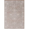Dynamic Rugs AIMON Brown/Ivory/Multi 16659 2ft. 7in. x 4ft. 11in. Rect. Rug