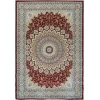 Dynamic Rugs ANCIENT GARDEN Red 57090 3ft. 11in. x 5ft. 7in. Rect. Rug