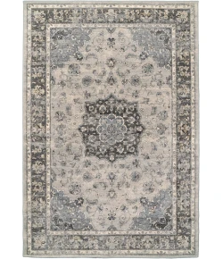 Dynamic Rugs ANCIENT GARDEN Silver/Grey 57559 2ft. x 3ft. 11in. Rect. Rug