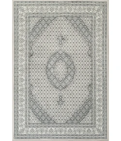 Dynamic Rugs ANCIENT GARDEN Soft Grey/Cream 57204 3ft.11in. x 5ft. 7in. Rect. Rug