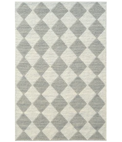 Dynamic Rugs AVA Ivory/Grey 5200 5ft. x 8ft. Rect. Rug