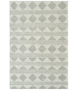 Dynamic Rugs AVA Grey/Ivory 5202 5ft. x 8ft. Rect. Rug