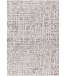 Dynamic Rugs BLISS Grey/Beige 17582 9ft. x 12ft. 6in. Rect. Rug