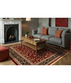 Dynamic Rugs BRILLIANT Red 72284 2ft. 9in. x 11ft. 6in. Rect. Rug
