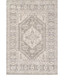 Dynamic Rugs CALYPSO Ivory/Grey 13501 2ft. 7in. x 4ft. 11in. Rect. Rug