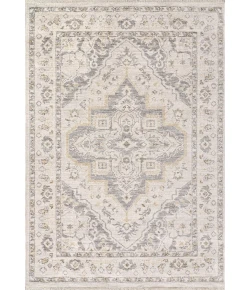 Dynamic Rugs CALYPSO Ivory/Grey 13504 2ft. 7in. x 4ft. 11in. Rect. Rug