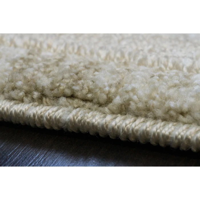Dynamic Rugs CANYON Beige/Light Beige 15473 2ft. 2in. x 7ft. 7in. Rect. Rug