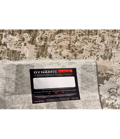 Dynamic Rugs CANYON Beige/Sage 15478 2ft. 7in. x 4ft. 11in. Rect. Rug