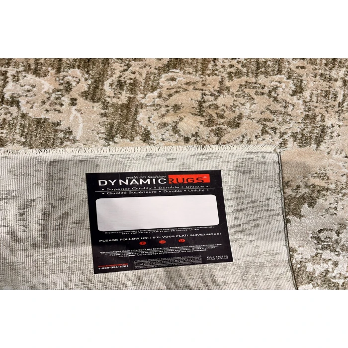 Dynamic Rugs CANYON Beige/Sage 15478 2ft. 2in. x 7ft. 7in. Rect. Rug