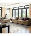 Dynamic Rugs CASTILLA Cream/Grey 3537 2ft. x 3ft. 11in. Rect. Rug