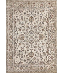 Dynamic Rugs DAKOTA Ivory/Multi 6640 7ft. 10in. x 10ft. 10in. Rect. Rug
