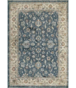 Dynamic Rugs DAKOTA Blue/Multi 6640 7ft. 10in. x 10ft. 10in. Rect. Rug