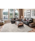 Dynamic Rugs DHARMA Ivory/Beige 12041 2ft. 2in. x 7ft. Rect. Rug