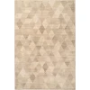 Dynamic Rugs ECLIPSE Beige 63263 2ft. x 3ft. 11in. Rect. Rug