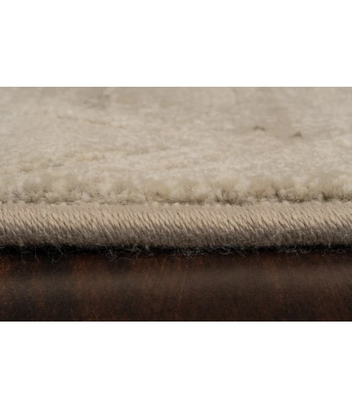 Dynamic Rugs ECLIPSE Beige 63263 2ft. x 3ft. 11in. Rect. Rug