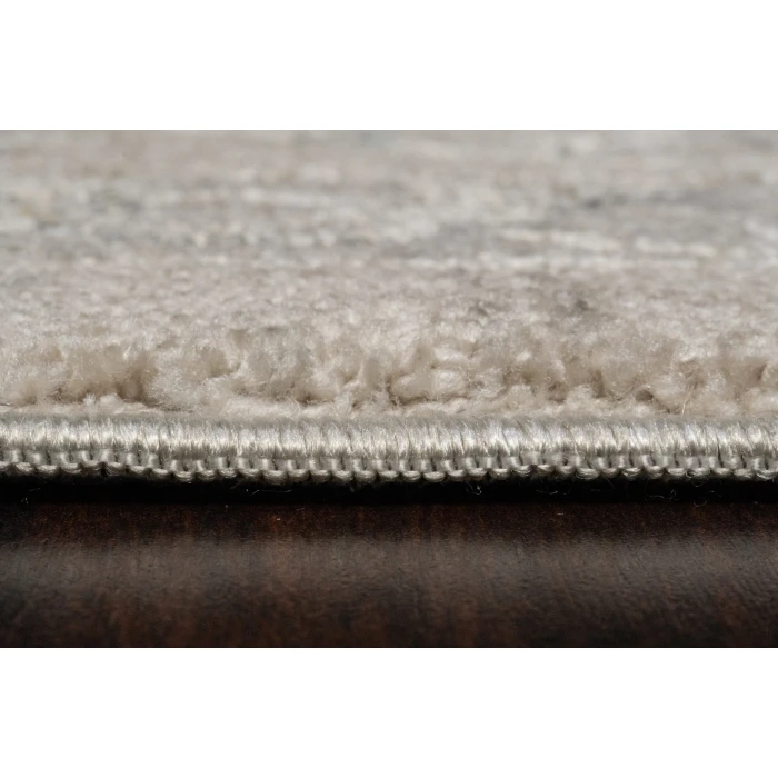 Dynamic Rugs HUDSON Beige/Ivory 1450 7ft. 10in. x 10ft. 10in. Rect. Rug