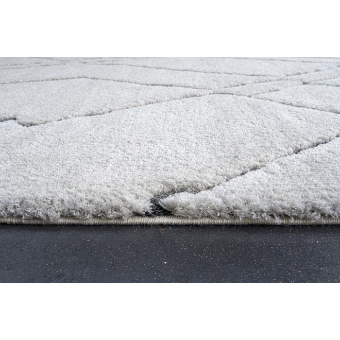Dynamic Rugs MASAI Ivory 14005 2ft. 7in. x 5ft. Rect. Rug