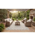 Dynamic Rugs MELISSA Ivory/Grey 4232 2ft. 2in. x 7ft. 3in. Rect. Rug