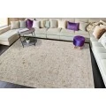 Dynamic Rugs MILANO Grey/Light Grey/Beige 12502 2ft. 7in. x 4ft. 11in. Rect. Rug
